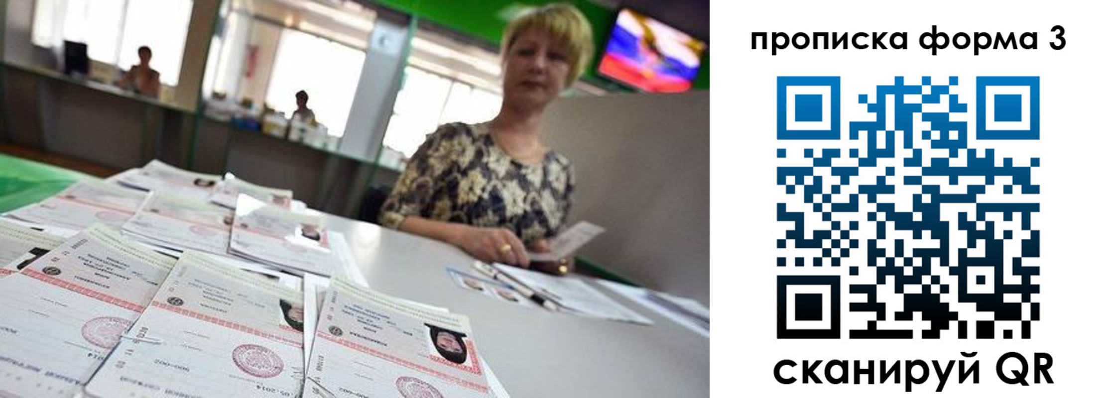 прописка 2025 в Сольцах